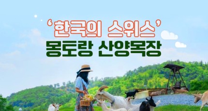 ‘한국의 스위스’ 몽토랑 산양목장